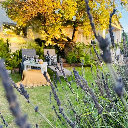Villa Da Graca - Homecooked Meals On Arrangement Mosselbaai Buitenkant foto