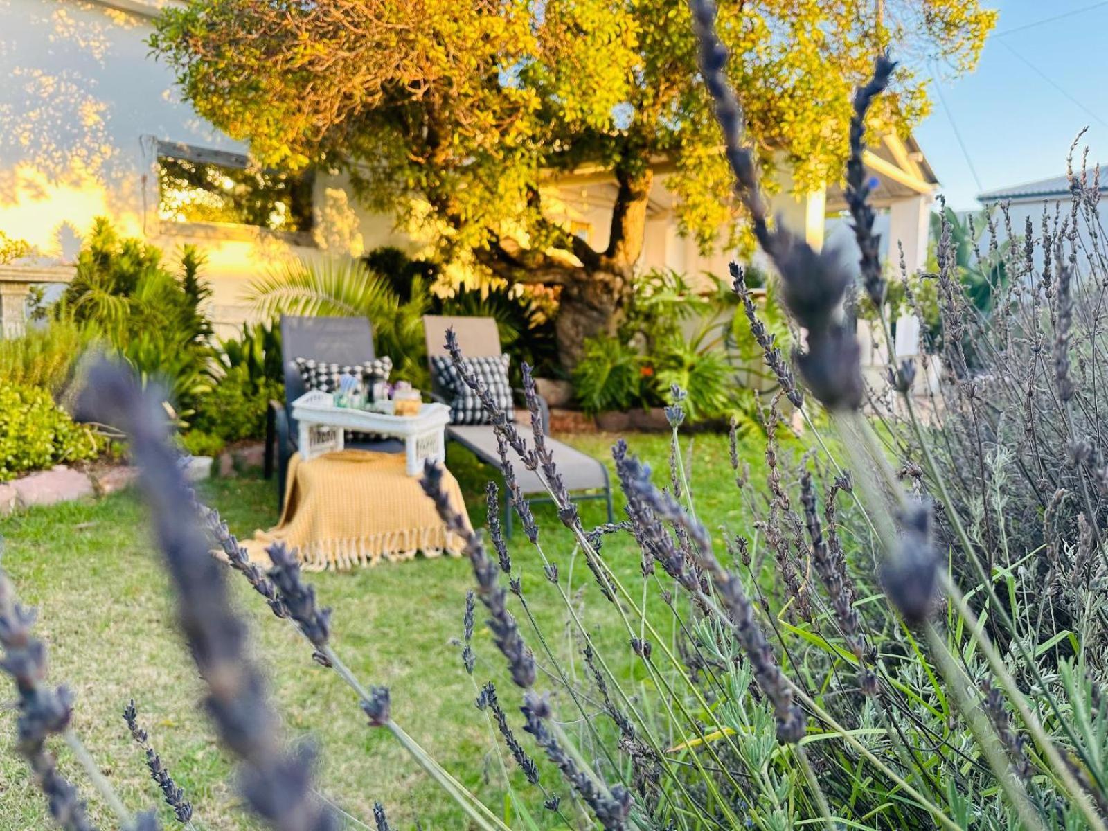 Villa Da Graca - Homecooked Meals On Arrangement Mosselbaai Buitenkant foto